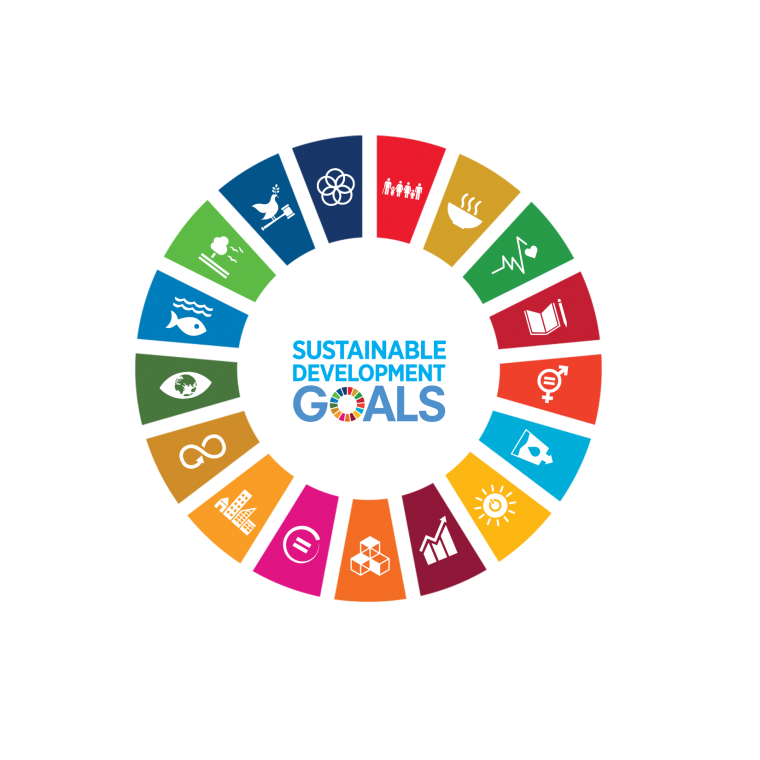 UN Logo